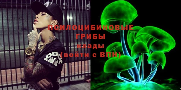 гидропоника Богданович