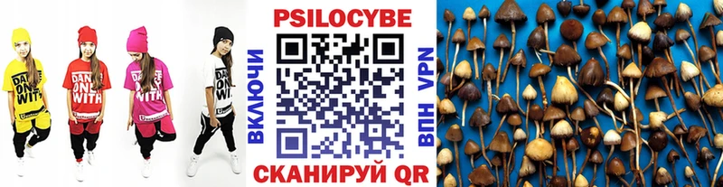 Псилоцибиновые грибы Cubensis  мориарти состав  Высоцк 